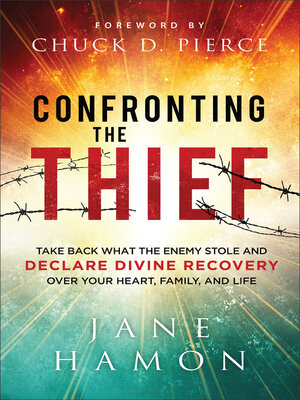 Confronting the Thief - ebook